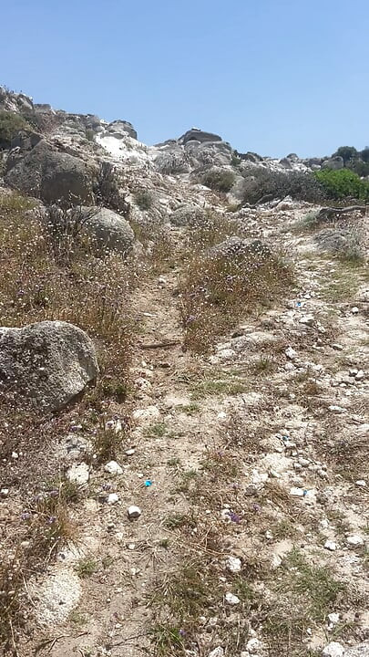 Caminhada nua