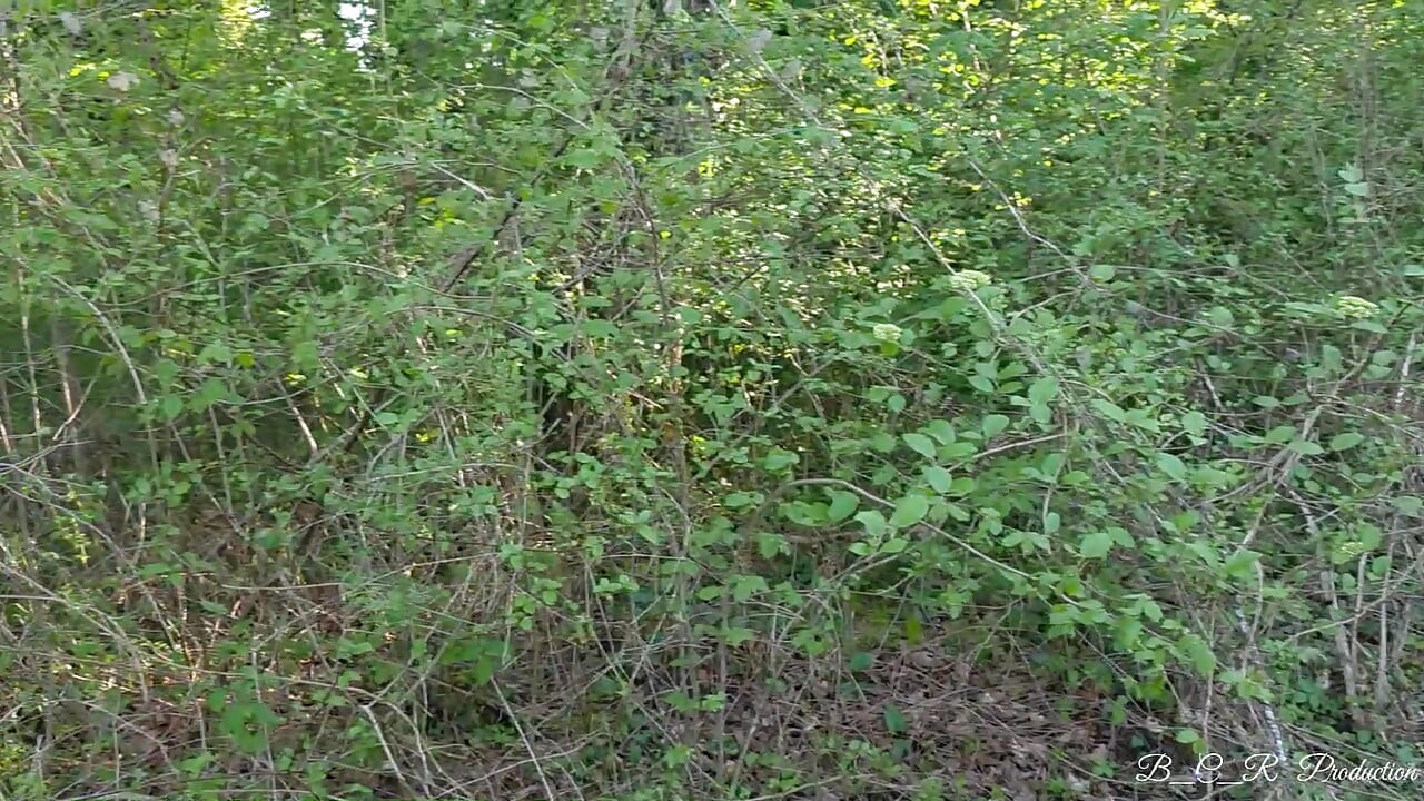Lost in the Forest. and Suddenly It Gets Dangerously Hot