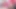 Trans Wearing Hijab Sucks Cock And Masturbate With A Dildo