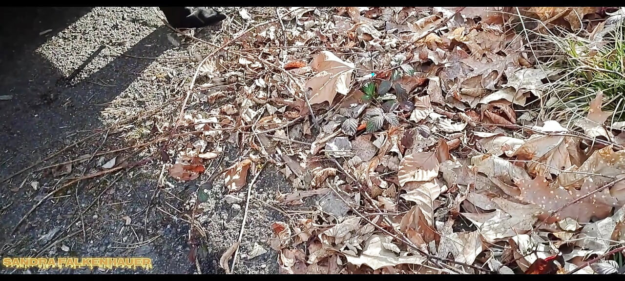 Çiş derlemesi 2025