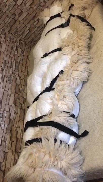 ห่อด้วยขน