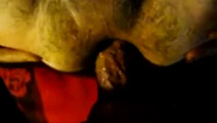 potrito cachero
