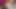 I finally sucked my best friend's cock