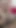 Must-share moment from "PunjabiMomsTeachSex - step Mom And stepSon Share Bed And Fuck in Hindi audio 4k Dirty talk"