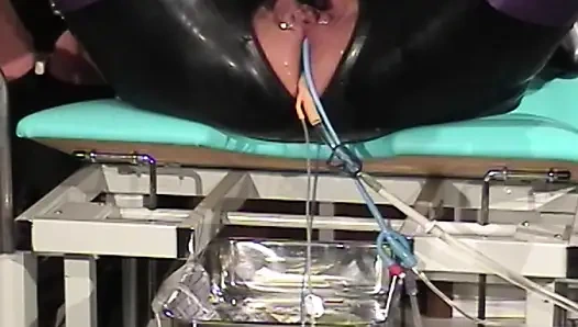 İki lateks Alman dominant bağlı adamla eğleniyor