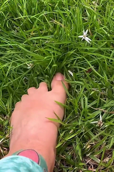 I Let You See My Feet Rubbing and Pressing Against the Grass