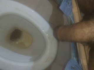 Pissen in toilet