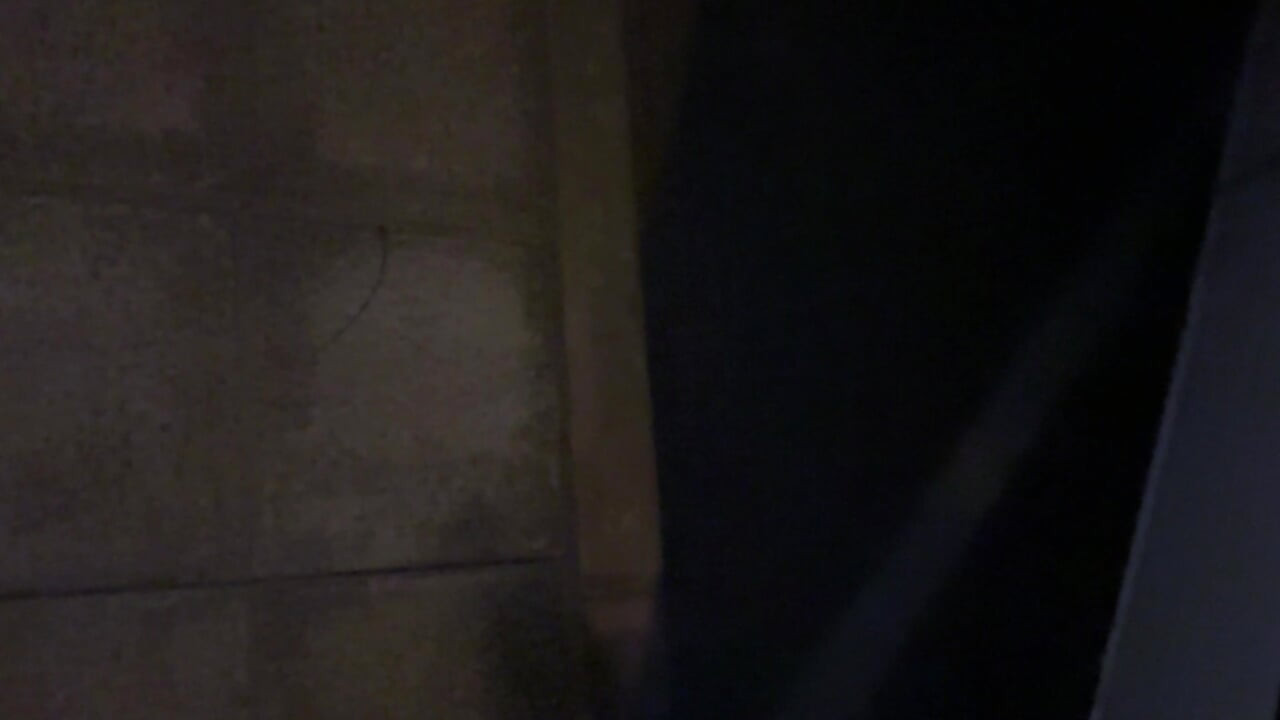 Я положил свой член в два фургона