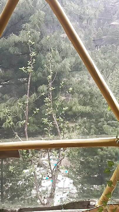 Final Part - Desi Outdoorsex with a Stranger girl in jungle