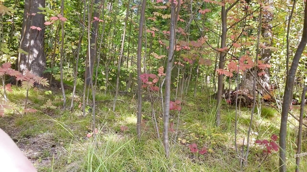 Public Sex in the Autumn Park - Cumshot in Blonde's Mouth