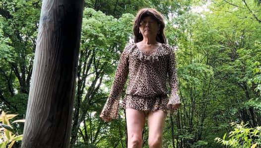 Rare Leopardess Is Said to Hide in This Hunters Forest
