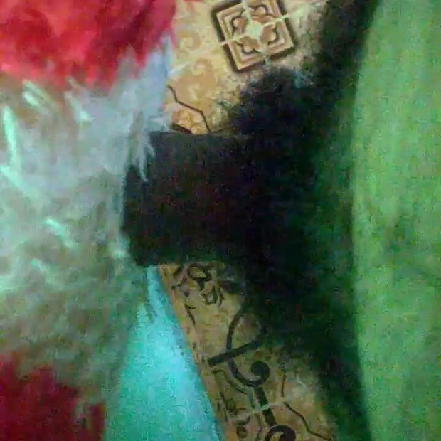 amateur fucking with toy,