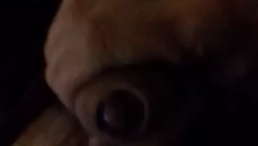 boşalmak için sasha