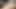 Stroking big black cock cumshot