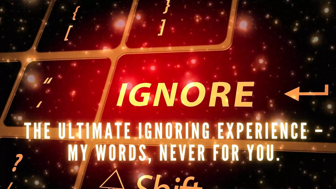 The Ultimate Ignoring Experience - My Words, Never for You