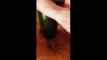 Pratonton Video