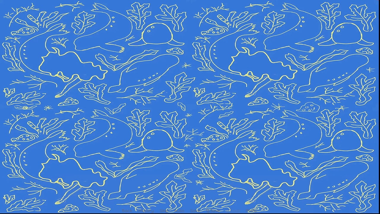 セルキー(パート2)