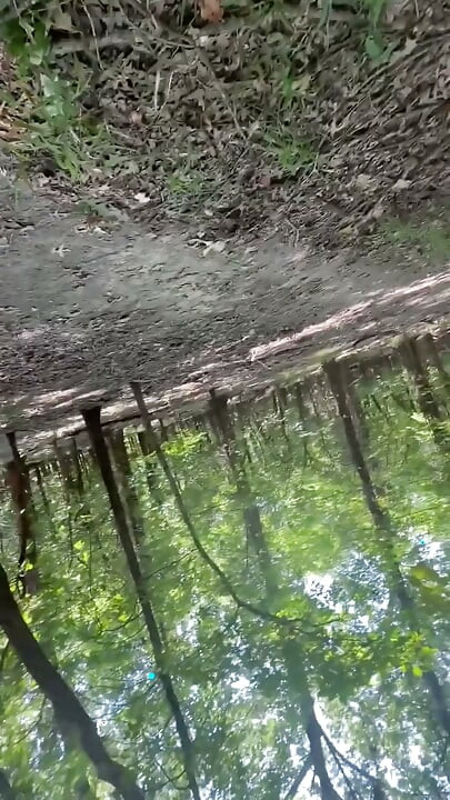 Cruising Straight Guy Gets Bent Over a Tree