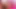 Kylie Richards Is Fresh And Ready For Dick - Perv Milfs n Teens