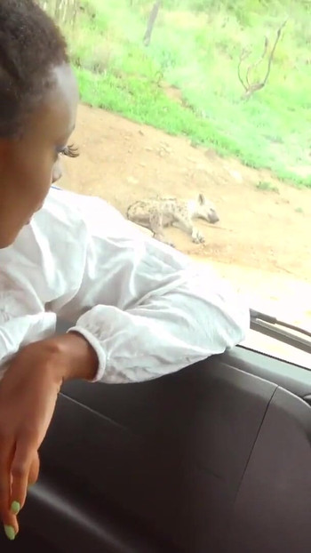 Detik kenangan dari "pepek awek hitam sebenar dikongkek sudut pandangan pertama oleh pelancong putih Hung dalam Van Safari"