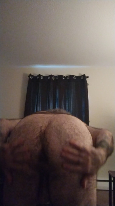 Polar bear needs something hard and deep