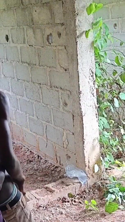 Two honey twink fucking outdoors got caught by street thugs | Clip 1