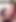Cagnettatrav anal dildo. Büyük