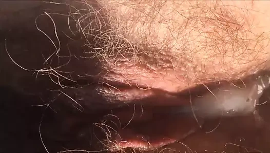hairy creampie2