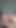 Edging Handjob While Watching Lily Phillips Onlyfans Porn