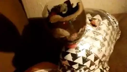Mein sklave