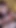 Daisy Taylor Fucked on Leash Til She Cums on Huge Cock