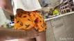 Pregled videozapisa