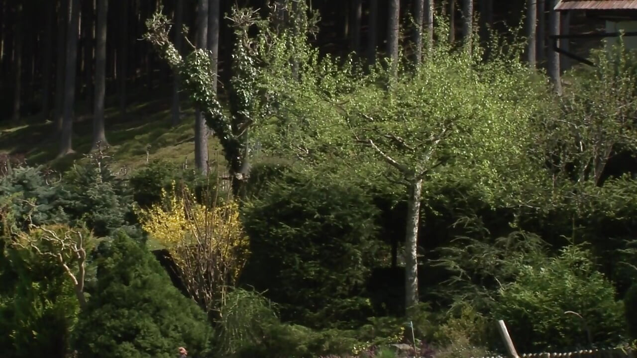 Two handsome gay's fuck outdoor