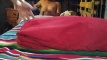 Pré-visualização do vídeo