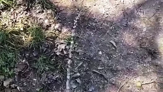 Pee boy