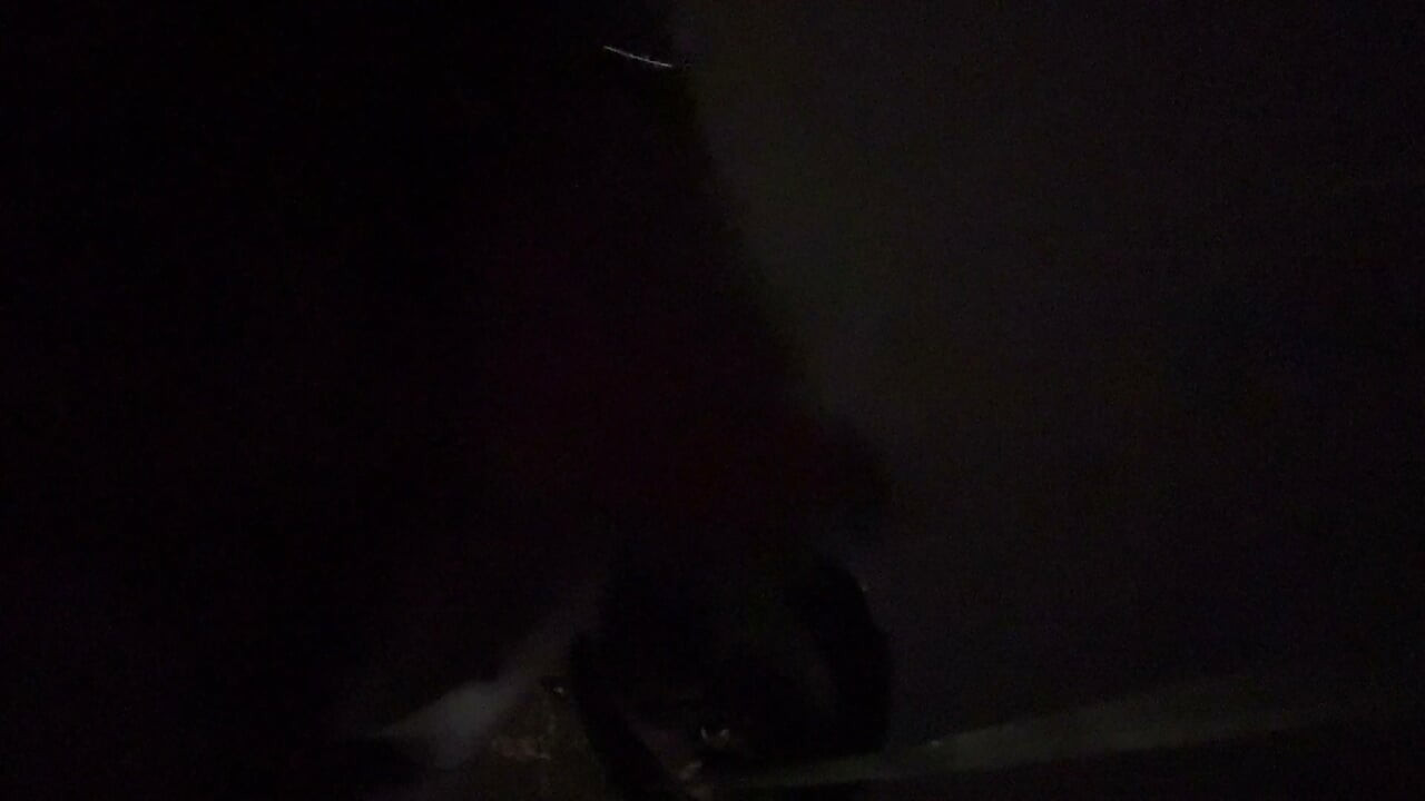 Fooling Around At Night Outside On The Sidewalk Fully Naked Final Part 5 Where I Nut On Yo Face