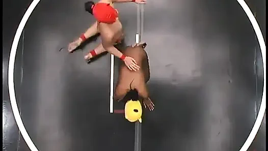 Gelbe kitty und crimson Ninja