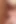 Anal squirting lesbians love nasty ass fucking