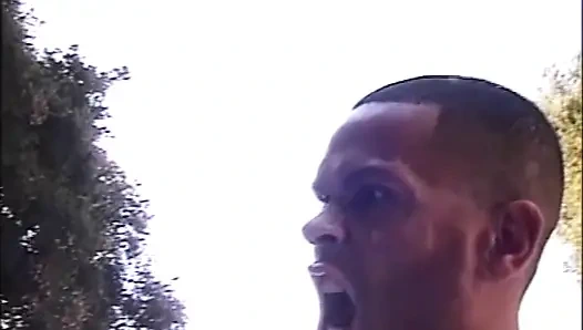 Die Ist Sehr Provokativ