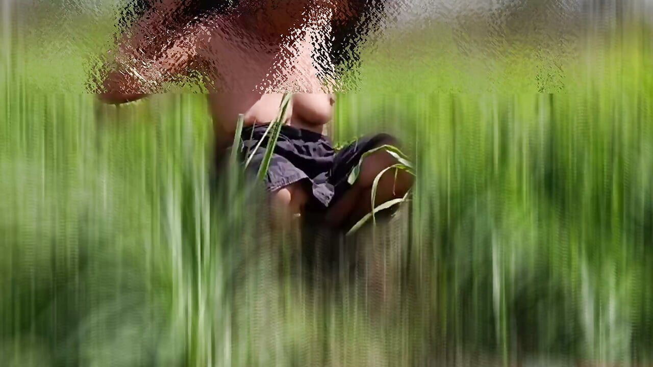 The desi stepsister of the village is bathing openly in the open field, bathing naked in the forest, brother-in-law is secretly watching the beautiful Bhabh.