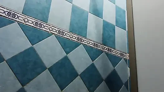 Zusammenstellung von mexikanischer molliger Karmica in der Dusche
