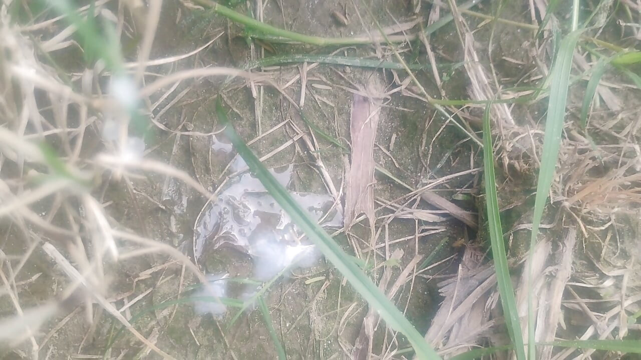 Khait me Lund hila rha me