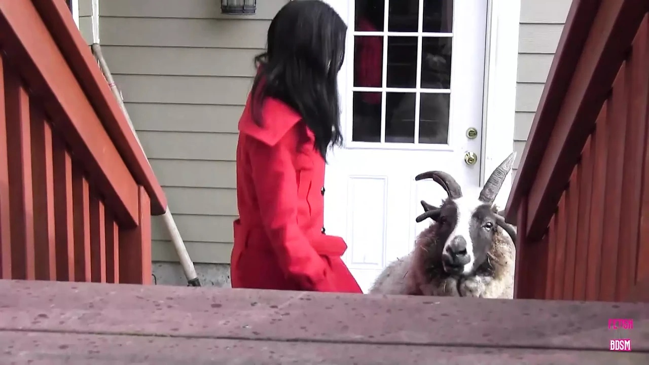 A Brunette Girl with Huge Breasts Got the Pleasure to Fuck a Lesbian Friend