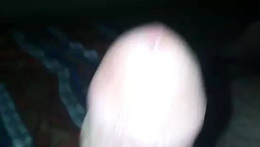 dick algeriaa