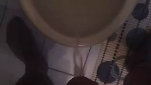 Pisanje