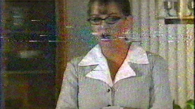 VHS Softcore Vol. 3