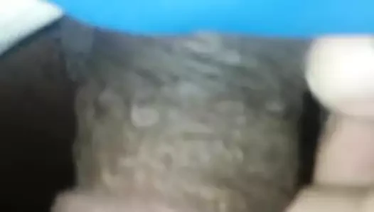 Abanoz büyük çük