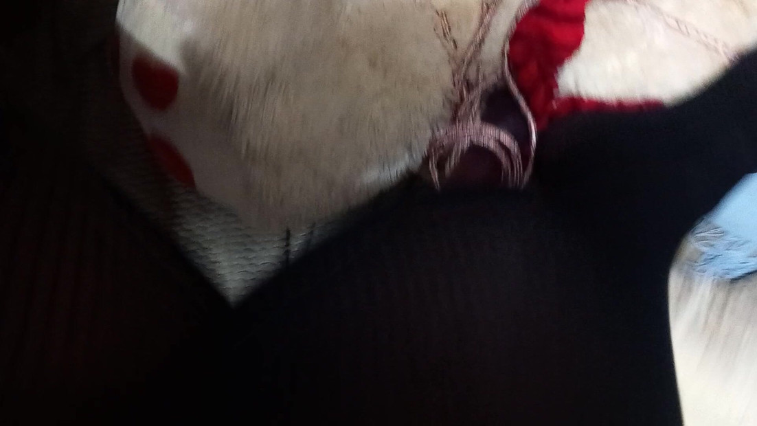 The bear has become a bitch and will be punished!