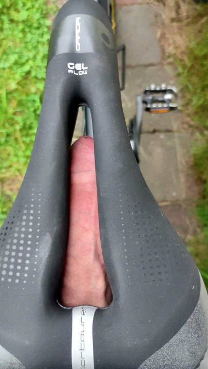 Best Bicycle Saddle ;)