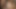 Amateur Wife Gets Three Black Cocks !